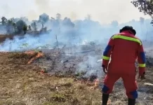 10 Hektare Lahan Terbakar, Damkar Lingga Bergerak