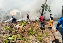 Hampir Satu Jam Damkar Toapaya Berhasil Padamkan Karhutla