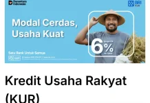 BRI Tanjungpinang Salurkan Rp 250 miliar KUR, Dorong UMKM Produktif
