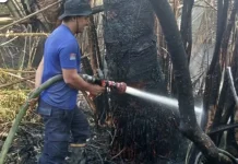 Damkar Lingga Padamkan Kebakaran Lahan di Merawang