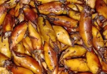 Cumi Salai, Olahan Unik Menikmati Cumi