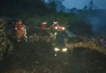 Tim Gabungan Hadapi Kebakaran 15 Hektare Lahan di Desa Kudung Lingga