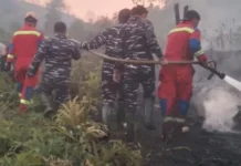 Karhutla Mengganas di Singkep Barat, Tim Gabungan Bergerak