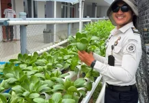 Hasil Hidroponik Anak Binaan LPKA Batam Dipasarkan di Bintan