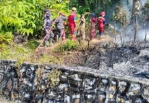 Karhutla Hanguskan 1,3 Hektare Lahan di Desa Pelakak Lingga
