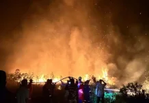 Karhutla 15 Hektare Mengamuk, Damkar Lindungi Permukiman