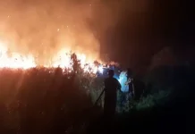 Empat Karhutla Terjadi dalam Tiga Hari di Lingga