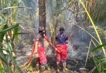 Damkar Lingga Padamkan Karhutla di Desa Merawang Lingga