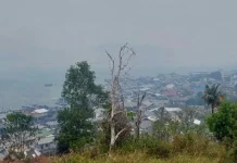 Kabut Asap di Tambelan Bertahan Dua Pekan, Warga Diimbau Kurangi Aktivitas di Luar
