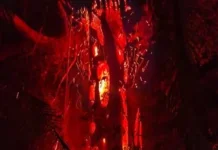 Damkar Lingga Padamkan Kebakaran Lahan di Centeng