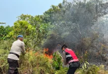 Kebakaran Lahan 1,5 Hektare Terjadi di Dompak
