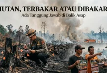 Hutan, Terbakar atau Dibakar? Ada Tanggung Jawab di Balik Asap