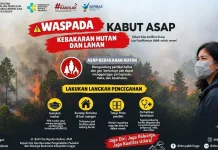 Kabut Asap Dua Pekan, Dinkes Lingga Ingatkan Warga