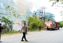 Gerak Cepat, Karhutla di Kawal Berhasil Dipadamkan Petugas Gabungan