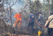 Karhutla Desa Sungai Besar Kabupaten Lingga Capai 26 Hektare