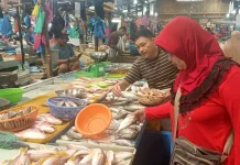 Pedagang Sebut Distribusi dan Harga Ikan di Tanjungpinang Normal
