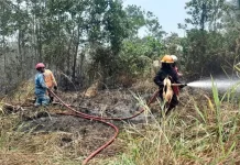 Karhutla Jadi Bahasan Fesmed Selat Malaka 2026
