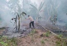 Polsek Tanjungpinang Timur Padamkan Kebakaran Lahan Kosong