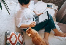 WFH atau Kantor: Mana yang Lebih Produktif?
