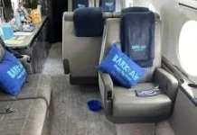 Fenomena Maskapai Penerbangan Mewah Khusus Anjing