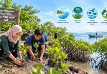 Konservasi Mangrove untuk Menjaga Wilayah Pesisir
