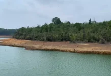 Waduk Sungai Pulai Menyusut, PDAM Siapkan Jadwal Distribusi Air