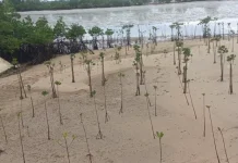 Pengolahan Sampah dan Tanam Pohon Program Lingkunag PT. BRC