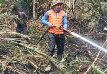 Karhutla Desa Kudung Kabupaten Lingga Belum Padam, Tim Gabungan Terus Bergerak