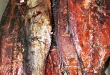 Manfaatkan Potensi Laut Indonesia dengan Pola Makan Tinggi Protein dari Ikan