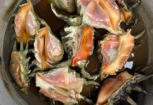 Kerang Ranga, Rasa Nikmatnya Mengalahkan Keunikan Bentuk Cangkangnya