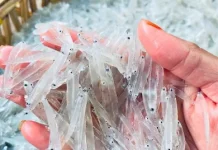 Teri Nasi Basah, Ide Mpasi Sehat Bagi Anak