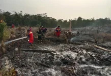 Kebakaran Lahan di Desa Berindat Kabupaten Lingga Hanguskan 2,5 Hektare