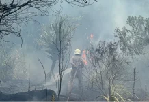 Mitigasi Tekan Kebakaran Hutan dan Lahan di Toapaya