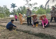 Polsek Tanjungpinang Kota Tanam Jagung Dukung Swasembada Pangan
