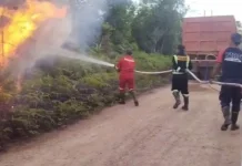 Karhutla Singkep Barat Hanguskan Puluhan Hektar