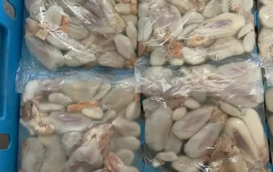 Telur Sotong Mulai Digemari Masyarakat, Jadi Peluang Usaha Kuliner Lokal