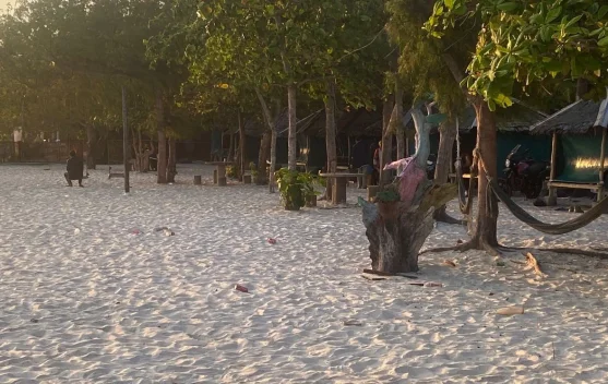 Pengembangan Pariwisata Bintan Melalui Desa Wisata