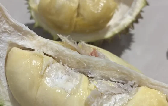 Durian Melimpah, Musim Panen Raya Dongkrak Ekonomi Warga