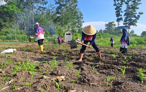 Ekoteologi Kemenag Bintan Diperkuat lewat Program Green Econom