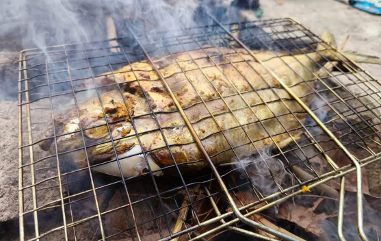 Ikan Bakar, Menu Sederhana yang Lezat dan Kaya Nutrisi