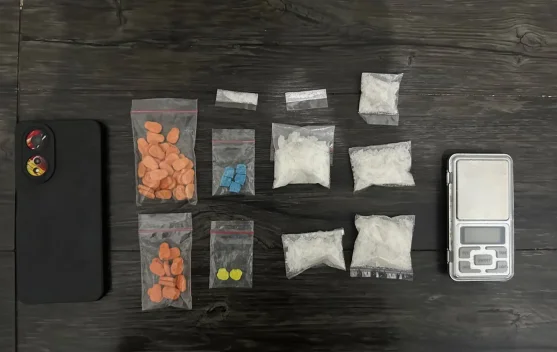 Ditresnarkoba Polda Kepri Sita 60 Gram Sabu dan 63 Butir Ekstasi di Batam