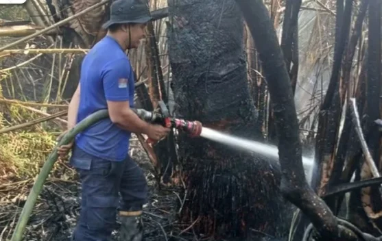 Damkar Lingga Padamkan Kebakaran Lahan di Merawang