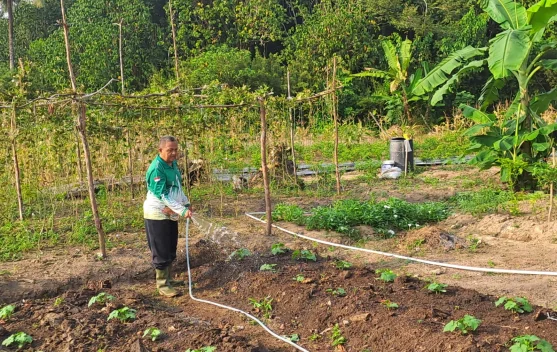 Kemenag Bintan Perkuat Program Green Economy melalui Budidaya Sayuran