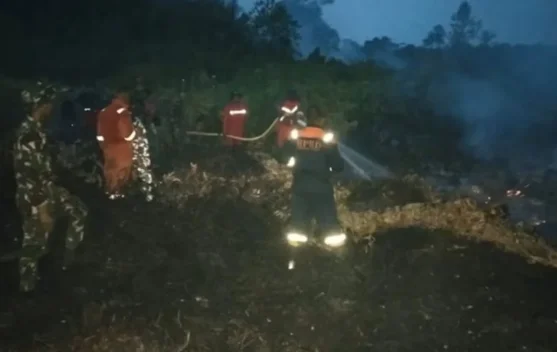 Tim Gabungan Hadapi Kebakaran 15 Hektare Lahan di Desa Kudung Lingga