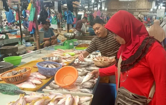 Pedagang Sebut Distribusi dan Harga Ikan di Tanjungpinang Normal