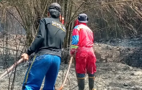 Karhutla Sungai Besar Dekati Permukiman dan Sekolah
