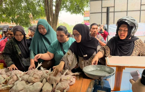 Tidak Sampai Dua Jam, 500 Kg Ayam Segar APUB Habis Terjual