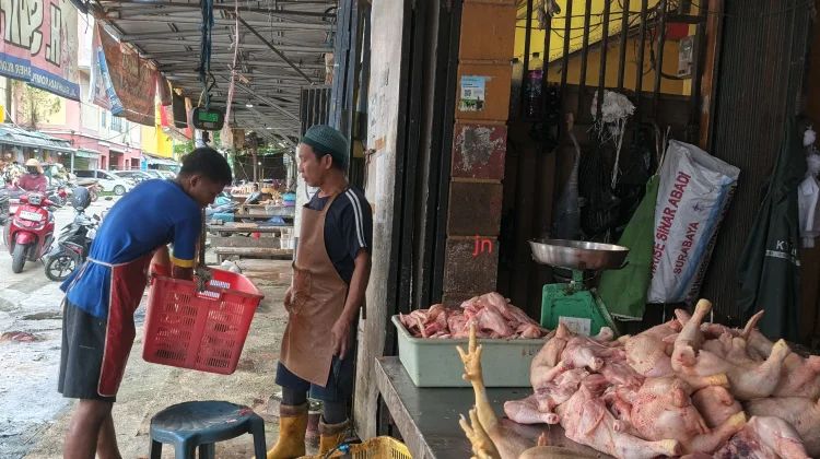 Harga Daging Ayam Potong Mulai Merangkak Naik