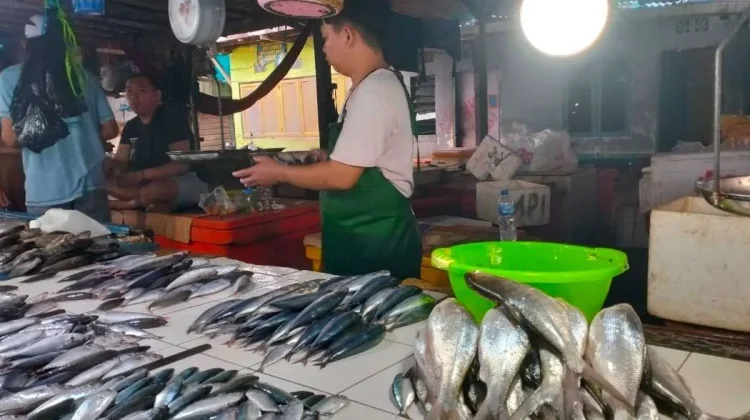 Strategi Dinas Perdagangan Tarakan Jaga Stabilitas Harga Bahan Pokok