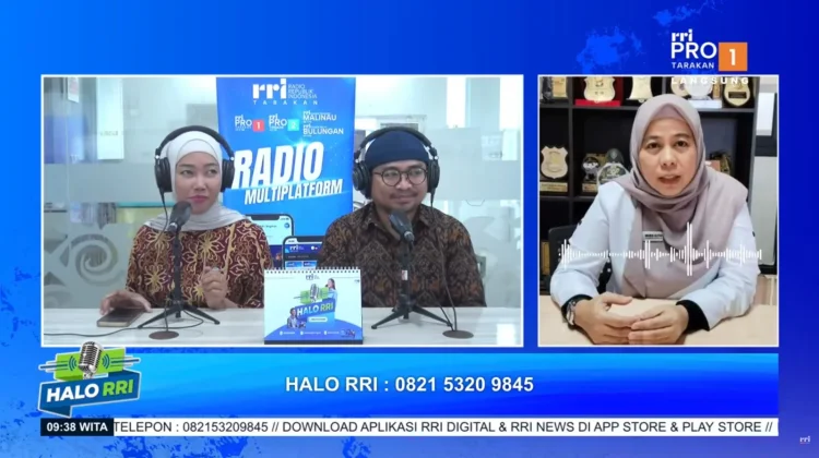 Aduan Kelistrikan Dominasi Laporan Ombudsman Kaltara di Februari 2026
